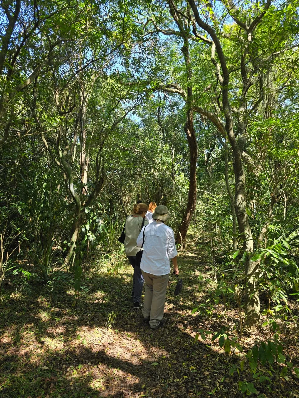 Caminata diurna guiada por pastizales y humedales