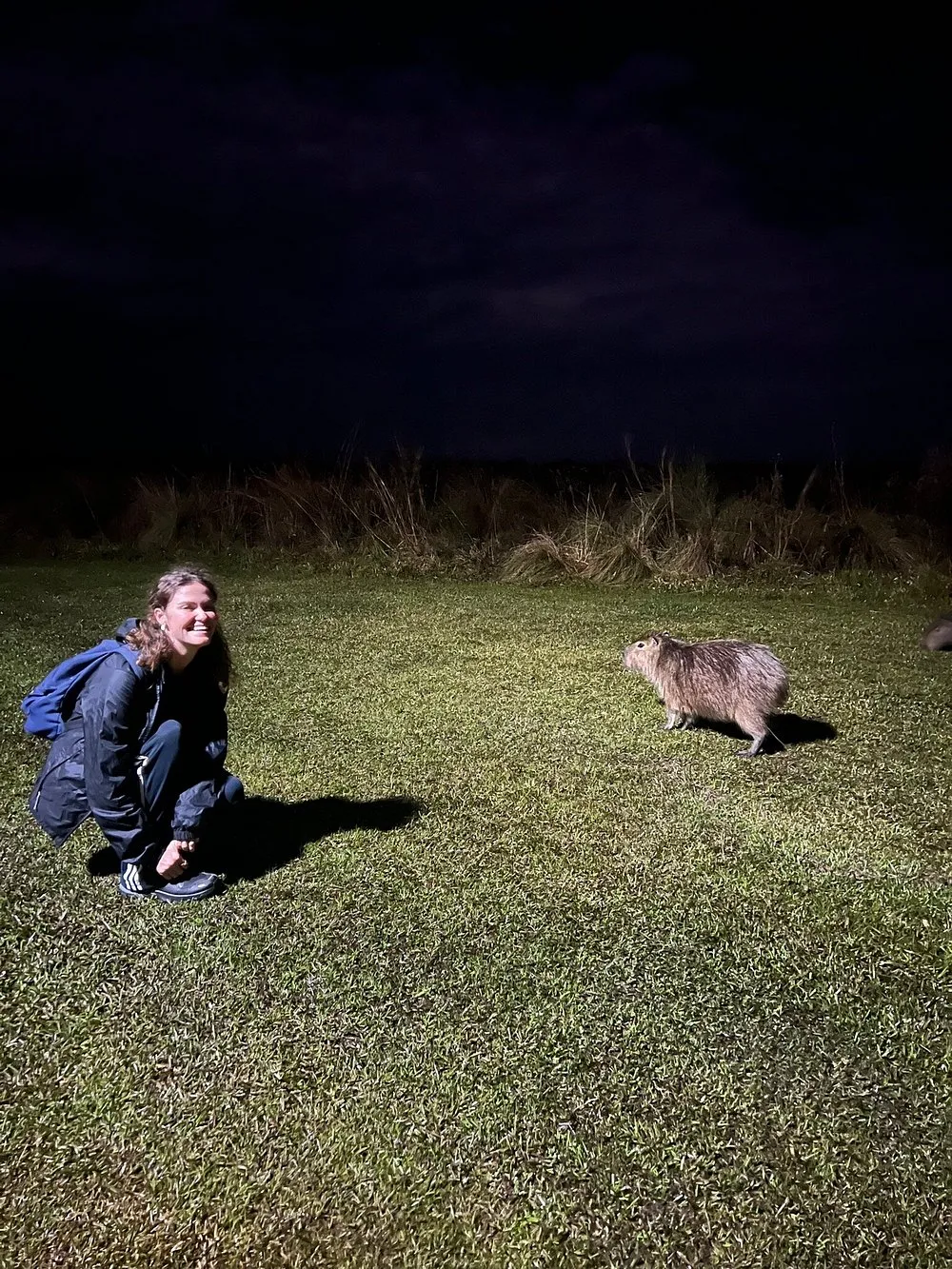 Avistamiento de mamíferos y fauna nocturna