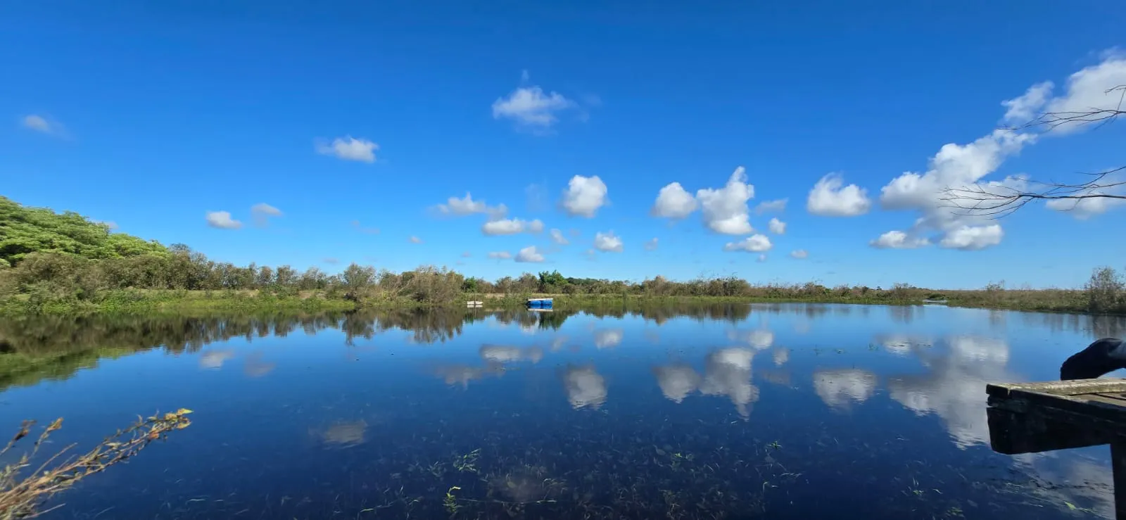 Vista del lago y la naturaleza