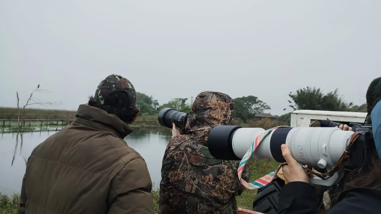 Observación de aves con equipos especializados