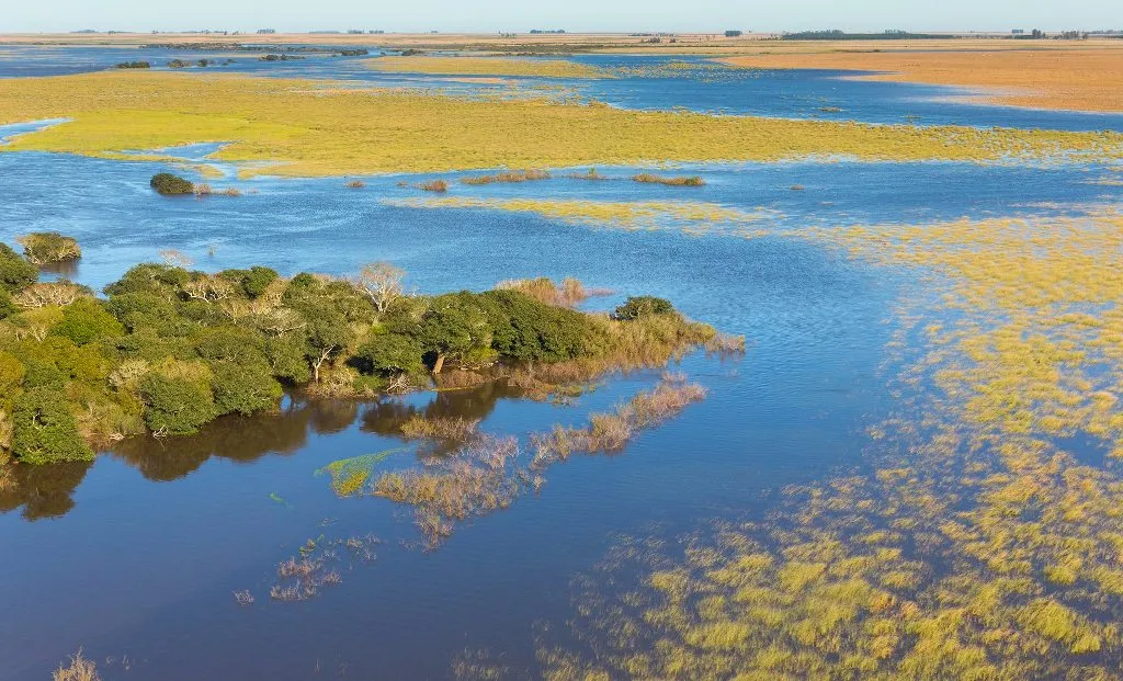 Visita guiada explorando el Parque Nacional Iberá